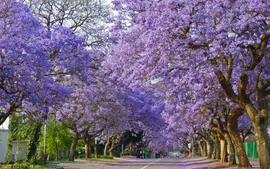 Sudáfrica con Ruta Jardín