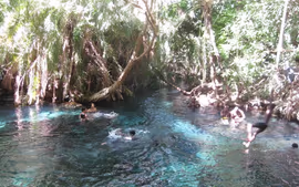 TANZANIA ESENCIAL (+1n Arusha al final)