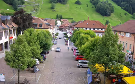 LO MEJOR DE LA SELVA NEGRA Y ALSACIA