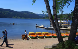 LO MEJOR DE ALEMANIA Y EL ESTE EUROPEO