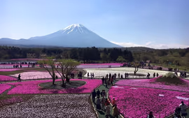 Contrastes de Japon - Vuelos desde CDMX