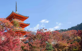 Capitales de Japón con Monte Fuji