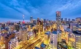 Recibimiento cálido en Tokyo con asistencia en español.