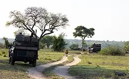 Experiencia en vehículos 4x4