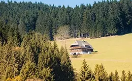 Viaja por la escénica Selva Negra.