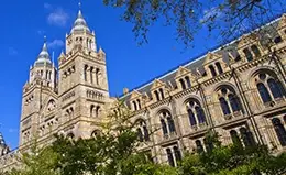 Visita al Museo Británico