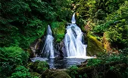 Admira las impresionantes cascadas de Triberg.