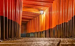 Exploración del Santuario de Fushimi Inari con sus icónicos toriis.