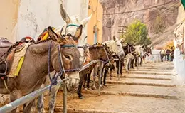 Pasea por las encantadoras calles peatonales de Thira.