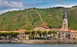 Recorre los viñedos de la campiña francesa.