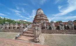 Visita al Templo de los Monos en Lopburi.
