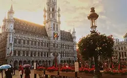 Visita panorámica de Bruselas, incluyendo la Grand Place
