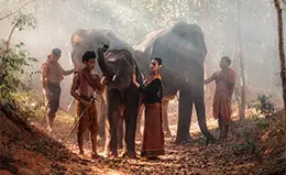 Experiencia inolvidable en un santuario de elefantes.