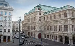 Vista panorámica con guía local de Viena.