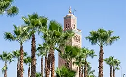 Regreso a la vibrante Marrakech