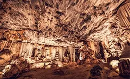 Visita a las impresionantes Cuevas Cango