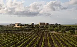 Degusta la historia y el ambiente en Marsala