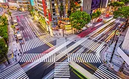 Disfruta de una experiencia de compras única en el famoso distrito de Ginza.