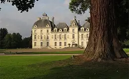 Explora el elegante Castillo de Cheverny y su historia viva