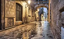 Recorrido por el histórico barrio Gótico