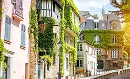 Explora el encantador barrio de Montmartre o el vibrante barrio Latino.