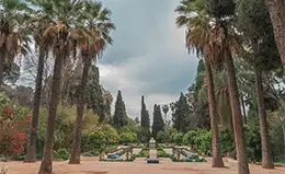 Explora la histórica Medina de Fez