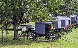 Explora las pintorescas granjas Amish en Lancaster