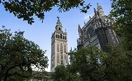 Vea la icónica torre Giralda y la catedral de Sevilla.