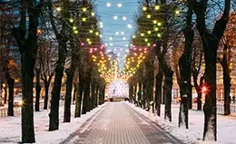 Visita panorámica de la histórica Riga.