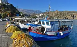 Disfruta del encanto pesquero de Agia Galini
