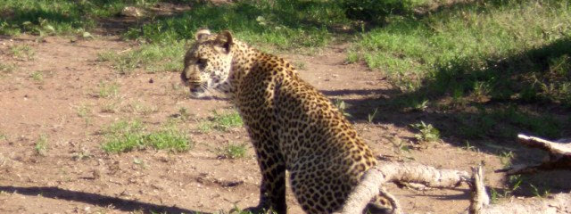 AVENTURA EN TANZANIA (en 4x4) CON ZANZIBAR