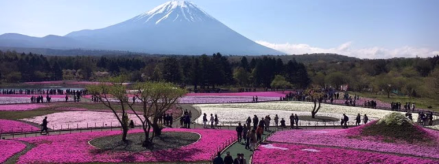 Contrastes de Japon - Vuelos desde CDMX
