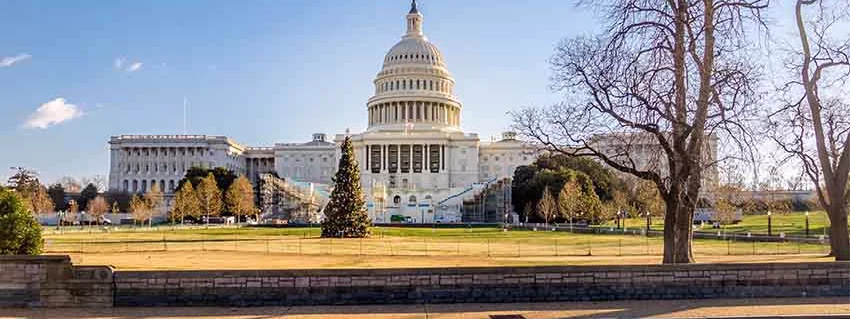 Chicago, Niágara y Nueva York fin Washington