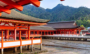 Lo que debes saber antes de viajar a Japón.